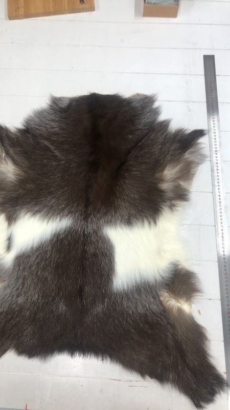 Killingskinn spraglet