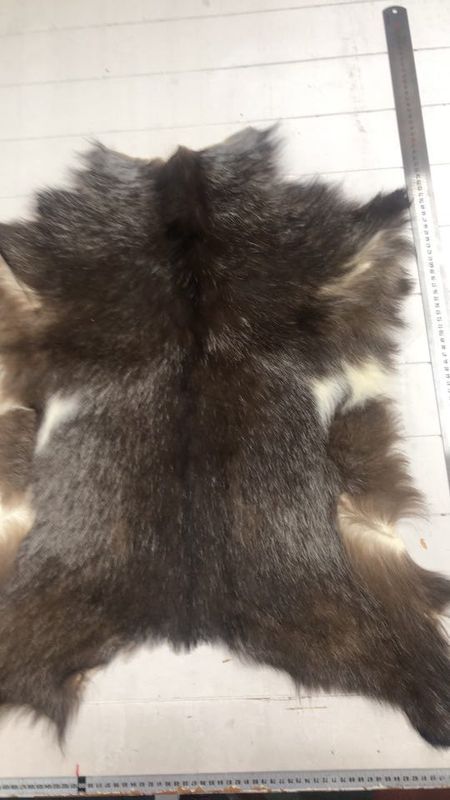 Killingskinn spraglet