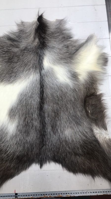 Killingskinn spraglet